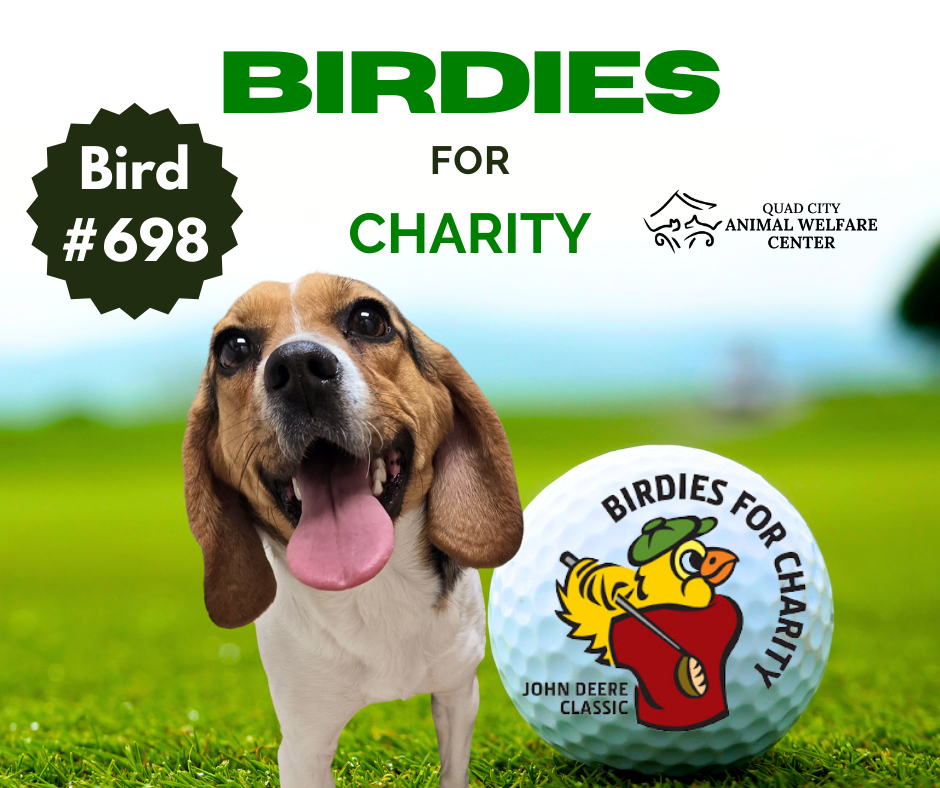 Birdies for charity facebook